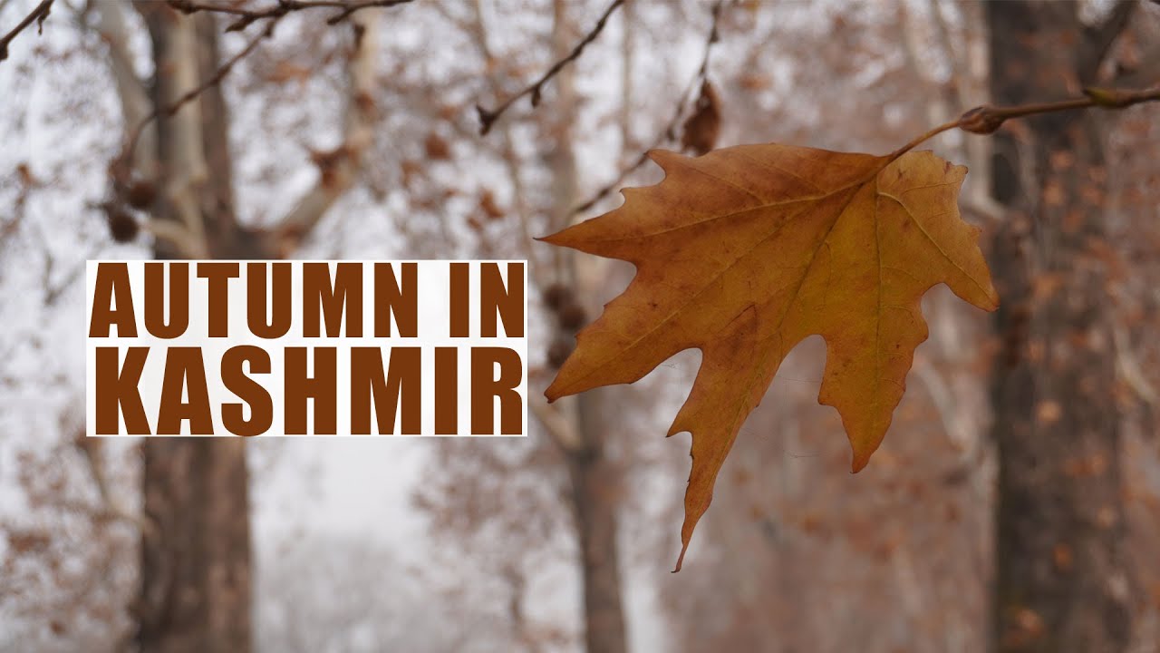 kashmir autumn packages - Countryside Kashmir